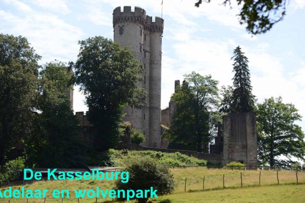 de-kasselburgA8D2BB2E-DDF6-0CE1-C072-FD956777346F.jpg