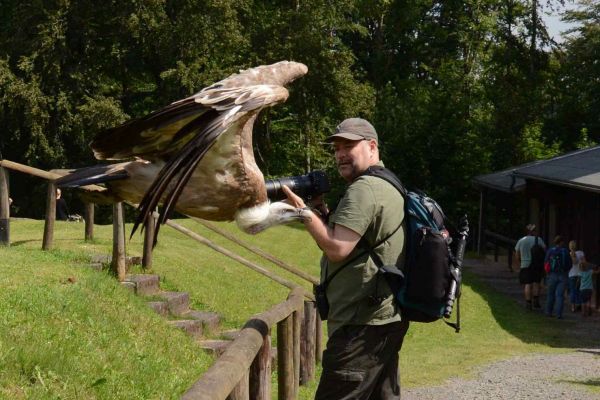 roofvogelshowC7083E98-89B4-F93D-AB6D-A48D74A7EE34.jpg